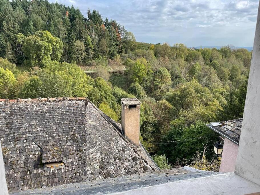 Maison De Village Avec Vue 4/5 Personnes Lou Rouchou Voutezac Экстерьер фото